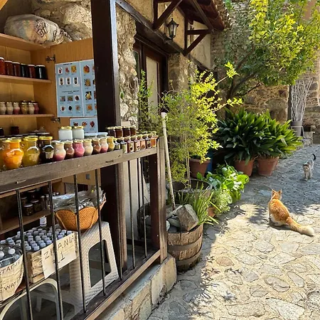 Aetheria 3br * Хлоракас